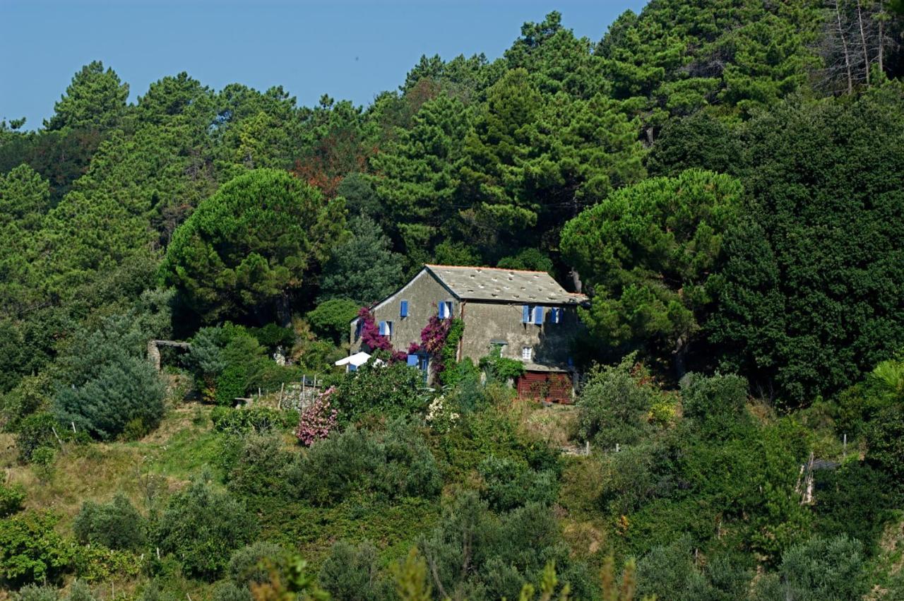 Maison De Charme Giulietta بوناسولا الغرفة الصورة